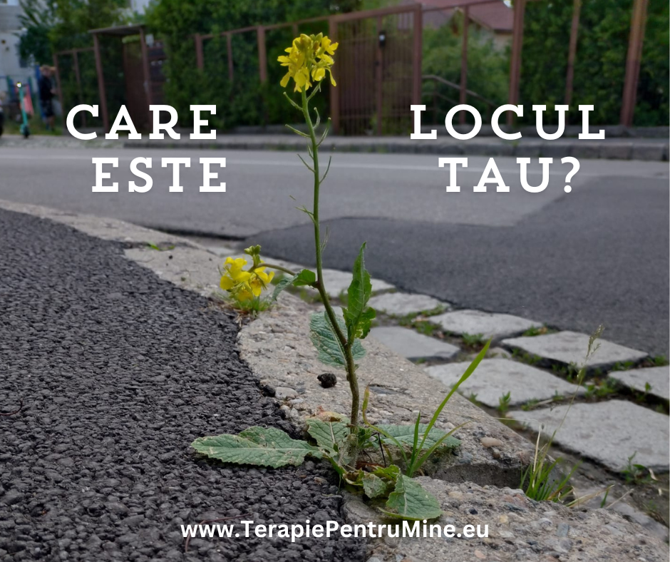 Care este locul tau?