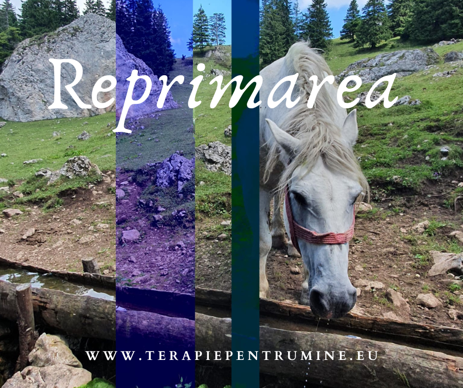 Reprimarea și momentele în care relaxarea Nu este recomandată