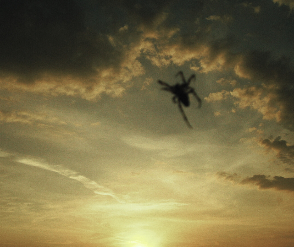 Shadow Work - Detalii și Beneficii Psihologice